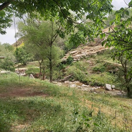 Mirzakishlak Forest Guest House מראה חיצוני תמונה