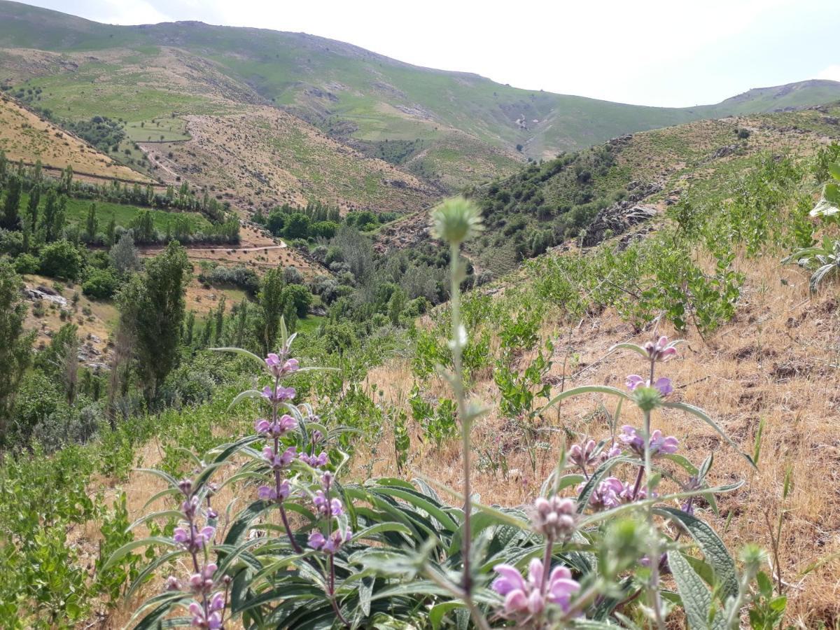 Mirzakishlak Forest Guest House מראה חיצוני תמונה