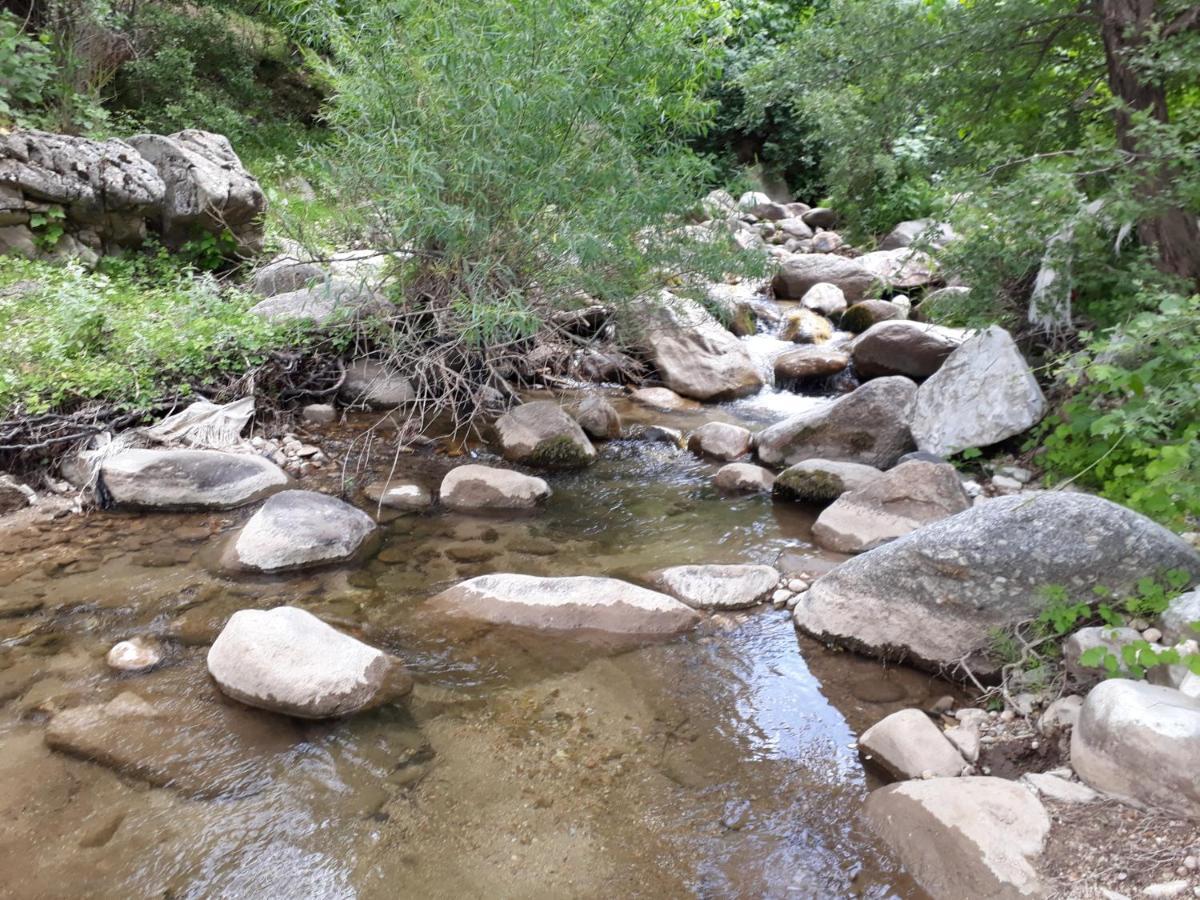 Mirzakishlak Forest Guest House מראה חיצוני תמונה
