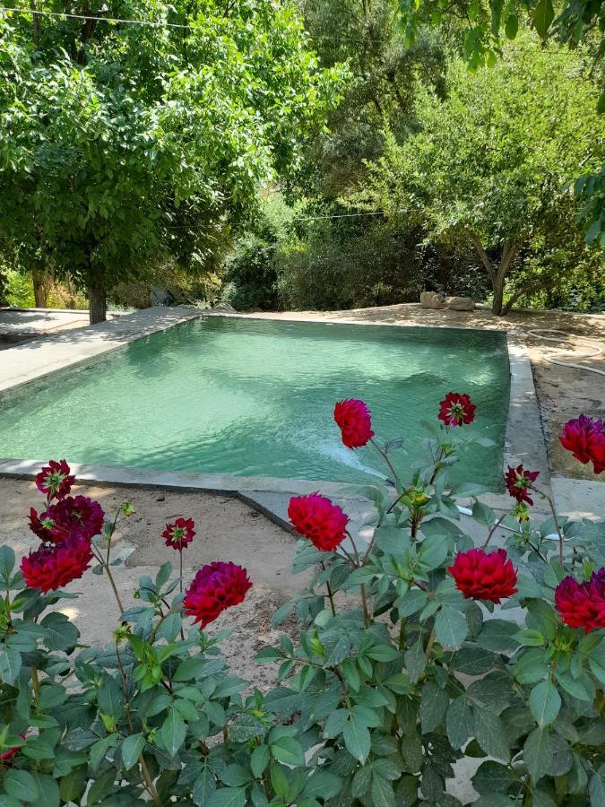 Mirzakishlak Forest Guest House מראה חיצוני תמונה