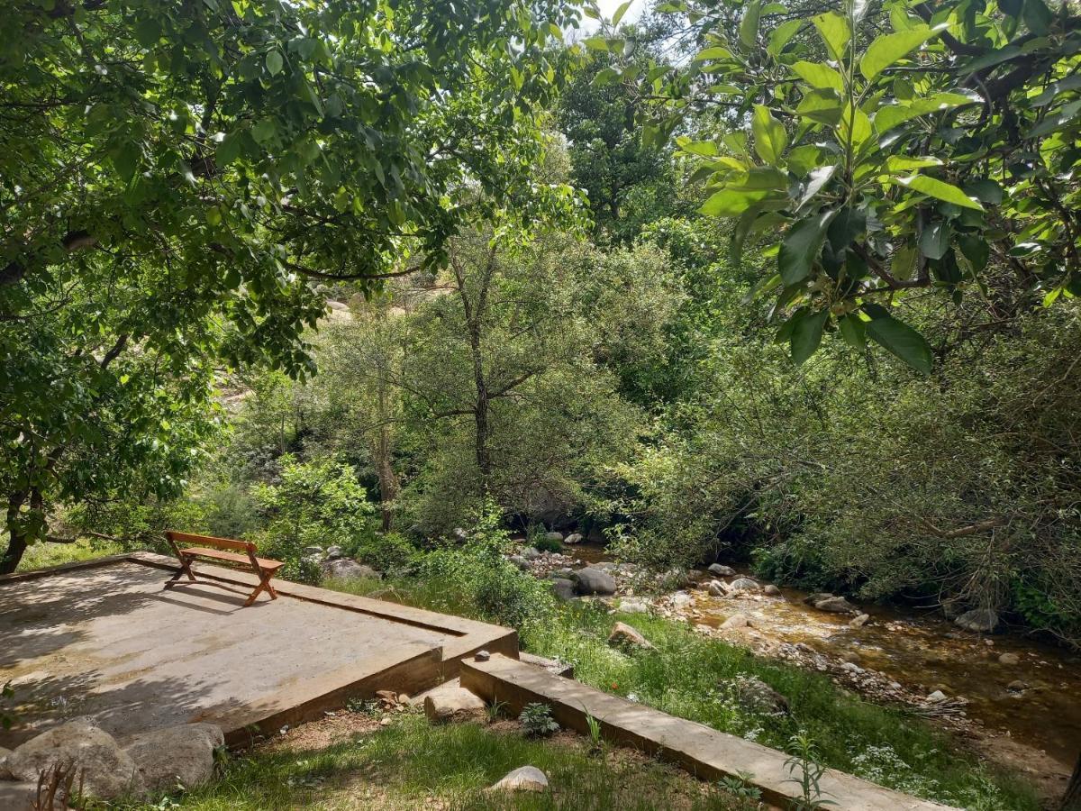 Mirzakishlak Forest Guest House מראה חיצוני תמונה
